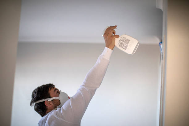 Best Certified Mold Removal  in Sharon, WI